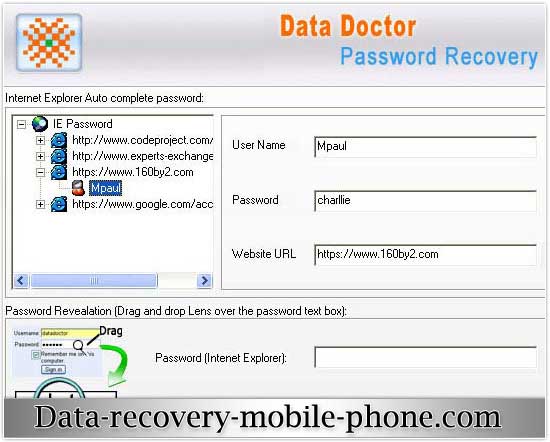 Screenshot of Password Data Recovery