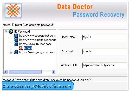 Screenshot of Reset Password Vista