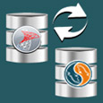 MSSQL to MySQL icon