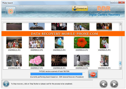 Digital Camera Data Recovery Software screenshot