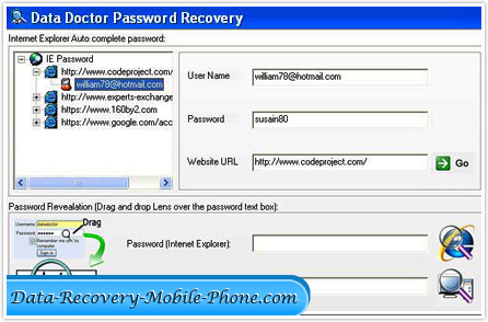 Internet Explorer Password Recovery Software screenshot