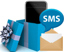 Bulk SMS Professional Bundle