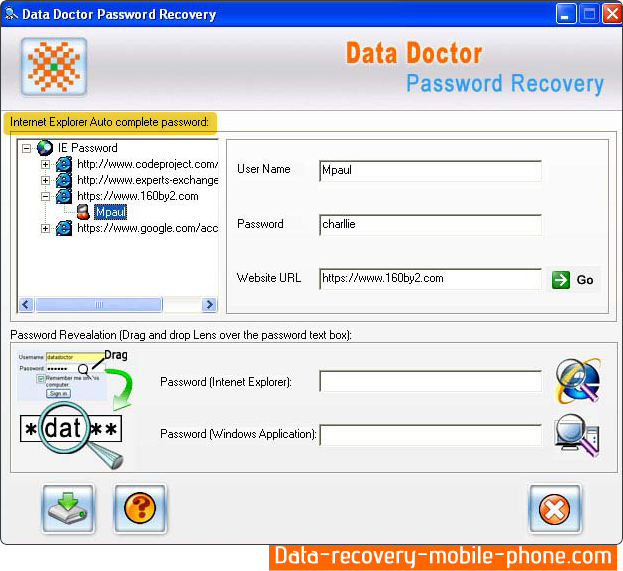 Internet Explorer Password Recovery Software Screenshot